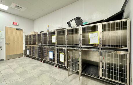 contractor-upfit-kennel-groomers-huntersville-dogwash