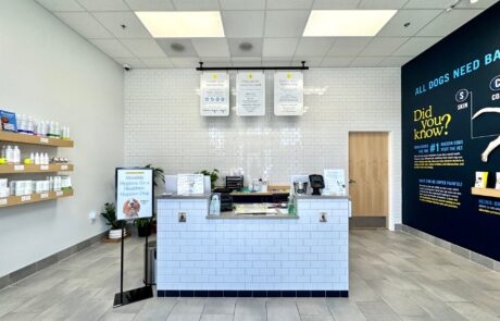 huntersville-groomer-dog-upfit-contractor